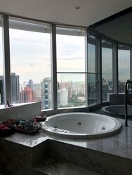 The Orchard Residences (D9), Apartment #584377761